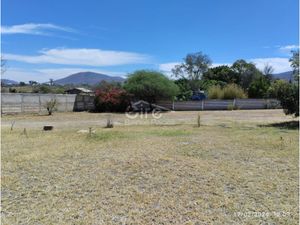 Terreno en Venta en Buenavista Tlajomulco de Zúñiga