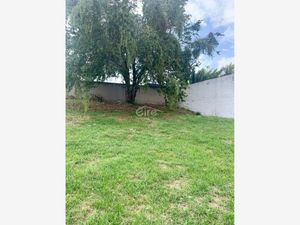 Terreno en Venta en Arbolada Bosques de Santa Anita Tlajomulco de Zúñiga