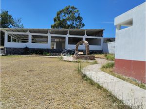 Terreno en Venta en Buenavista Tlajomulco de Zúñiga