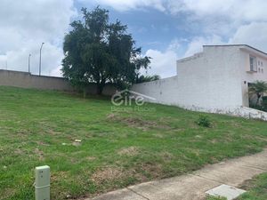 Terreno en Venta en Arbolada Bosques de Santa Anita Tlajomulco de Zúñiga