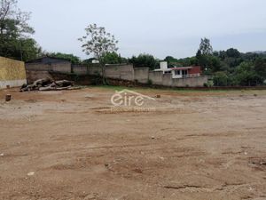 Terreno en Venta en Los Guayabos Zapopan