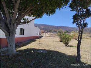 Terreno en Venta en Buenavista Tlajomulco de Zúñiga