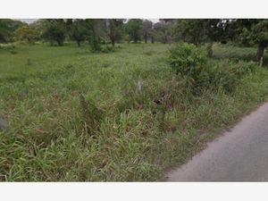 Finca/Rancho en Venta en Pechucalco 2da. Sección (Las Cruces) Cunduacán