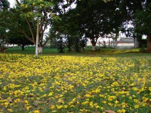 Finca/Rancho en Venta en Tequila Jalapa