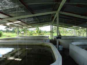 Finca/Rancho en Venta en Tequila Jalapa