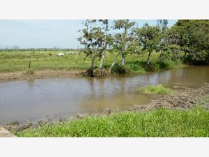 Finca/Rancho en Venta en Jalpa de Mendez Centro Jalpa de Méndez