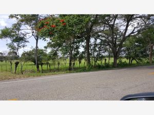 Finca/Rancho en Venta en Teapa Centro Teapa