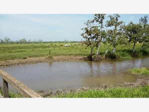 Finca/Rancho en Venta en Jalpa de Mendez Centro Jalpa de Méndez