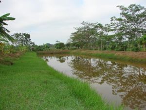 Finca/Rancho en Venta en Tequila Jalapa