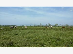 Finca/Rancho en Venta en Jalpa de Mendez Centro Jalpa de Méndez