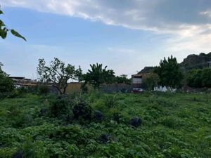 Terreno en Venta en Santo Domingo Ocotitlán Tepoztlán