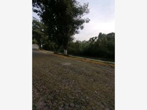 Terreno en Venta en Burgos Bugambilias Temixco