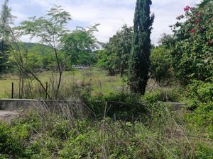 Terreno en Venta en El Caudillo del Sur Yautepec