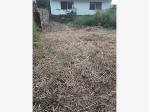 Terreno en Venta en Lomas de Vista Hermosa Cuernavaca