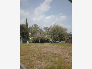 Terreno en Venta en Rancho Cortes Cuernavaca