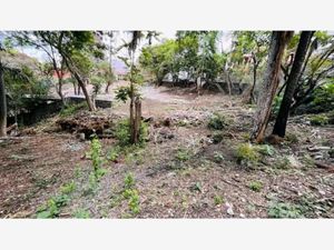 Terreno en Venta en Miraval Cuernavaca