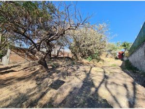 Terreno en Venta en Tamoanchan Jiutepec