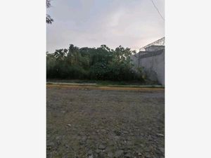 Terreno en Venta en Burgos Bugambilias Temixco