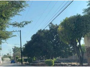 Terreno en Venta en Real del Puente Xochitepec