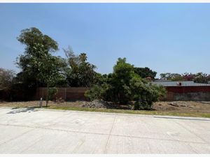 Terreno en Venta en Bosques de Palmira Cuernavaca