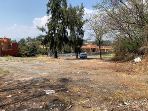 Terreno en Venta en Junto al Río Temixco