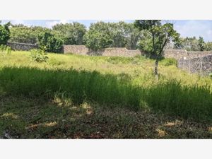 Terreno en Venta en Lomas de Vista Hermosa Cuernavaca