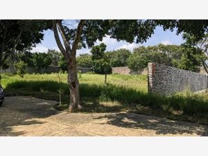 Terreno en Venta en Lomas de Vista Hermosa Cuernavaca