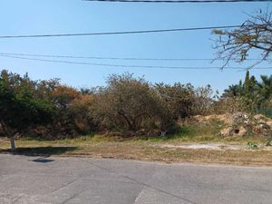 Terreno en Venta en Tamoanchan Jiutepec