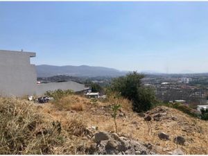 Terreno en Venta en Burgos Bugambilias Temixco