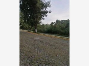 Terreno en Venta en Burgos Bugambilias Temixco