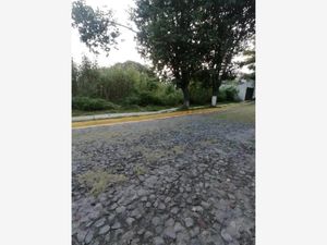 Terreno en Venta en Burgos Bugambilias Temixco