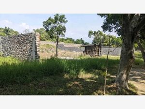 Terreno en Venta en Lomas de Vista Hermosa Cuernavaca