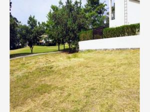 Terreno en Venta en Paraíso Country Club Emiliano Zapata