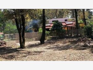 Terreno en Venta en Los Ocotes Tepoztlán