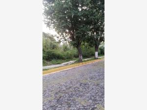 Terreno en Venta en Burgos Bugambilias Temixco