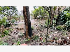 Terreno en Venta en Miraval Cuernavaca