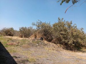 Terreno en Venta en Tamoanchan Jiutepec