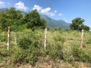 Terreno en Venta en Lazarillos de Abajo Allende