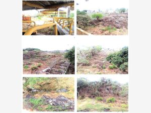 Terreno en Venta en Emiliano Zapata Xalapa