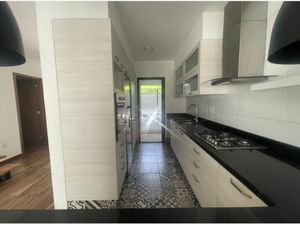 Casa en Renta en Juriquilla Querétaro