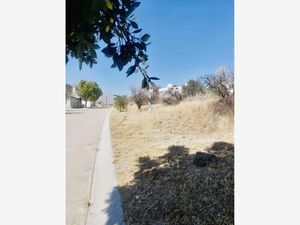 Terreno en Venta en Real de Juriquilla Querétaro