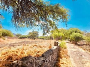 Terreno en Venta en Santa Rosa de Jauregui Querétaro