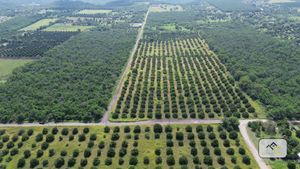 Terreno en Venta EN LAS MORITAS MONTEMORELOS