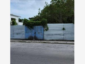 Terreno en Venta en Playa Norte Carmen