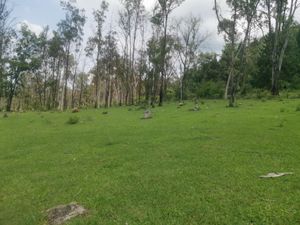 Terreno en Venta en Emiliano Zapata Morelia