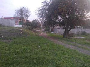 Terreno en Venta en Ilustres Novohispanos Morelia