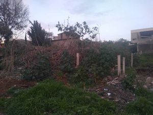 Terreno en Venta en Ilustres Novohispanos Morelia