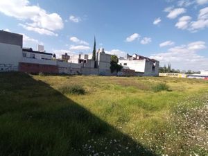 Terreno en Renta en San Felipe Hueyotlipan Puebla