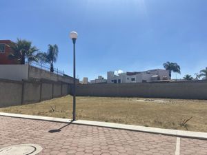 Terreno en Venta en Santiago Momoxpan San Pedro Cholula