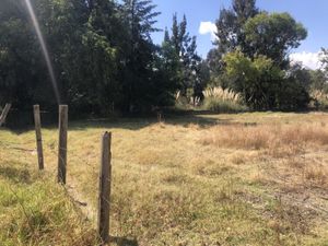 Terreno en Venta en Rancho San Jose Xilotzingo Puebla